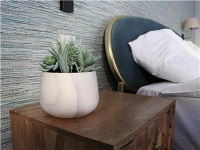 Chapel Lodge - Roof Top Garden!Perfect For Your Family バース エクステリア 写真